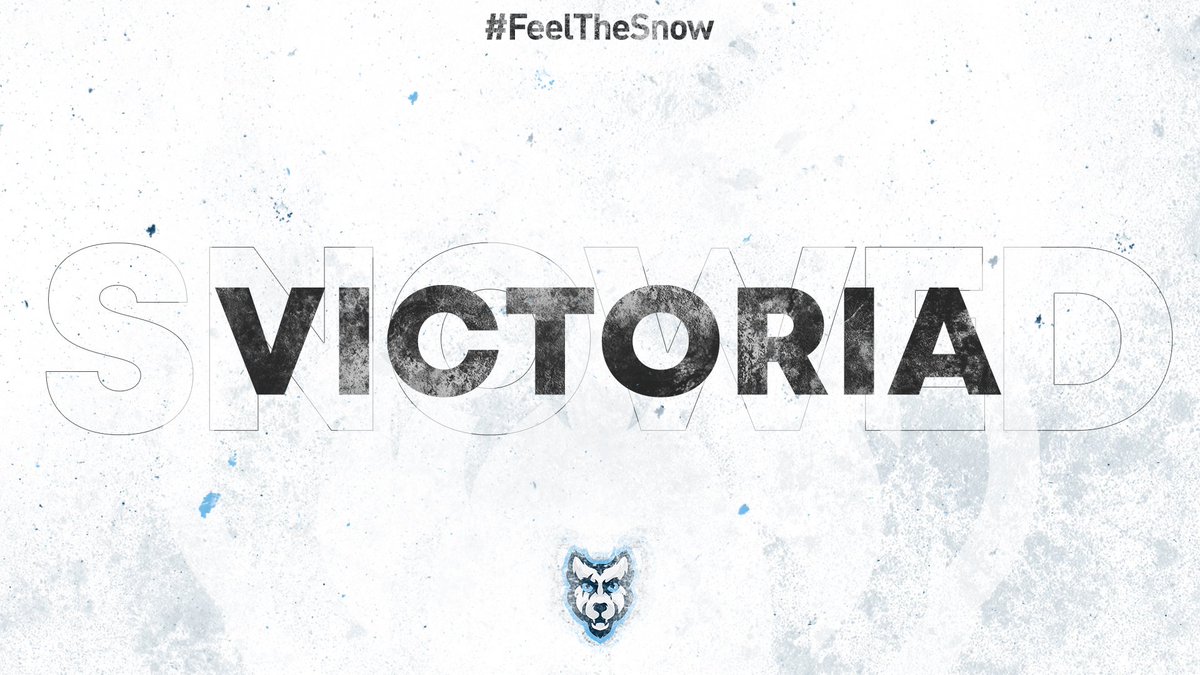 SnowedWolves 🐺 tweet media