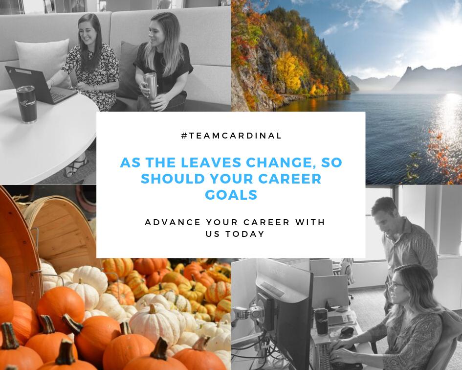 Join our team today!🍂

usr56.dayforcehcm.com/CandidatePorta…