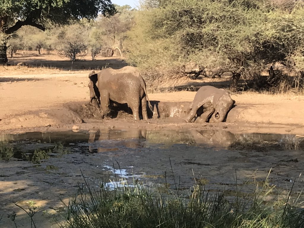 marang setshwaelo tweet media