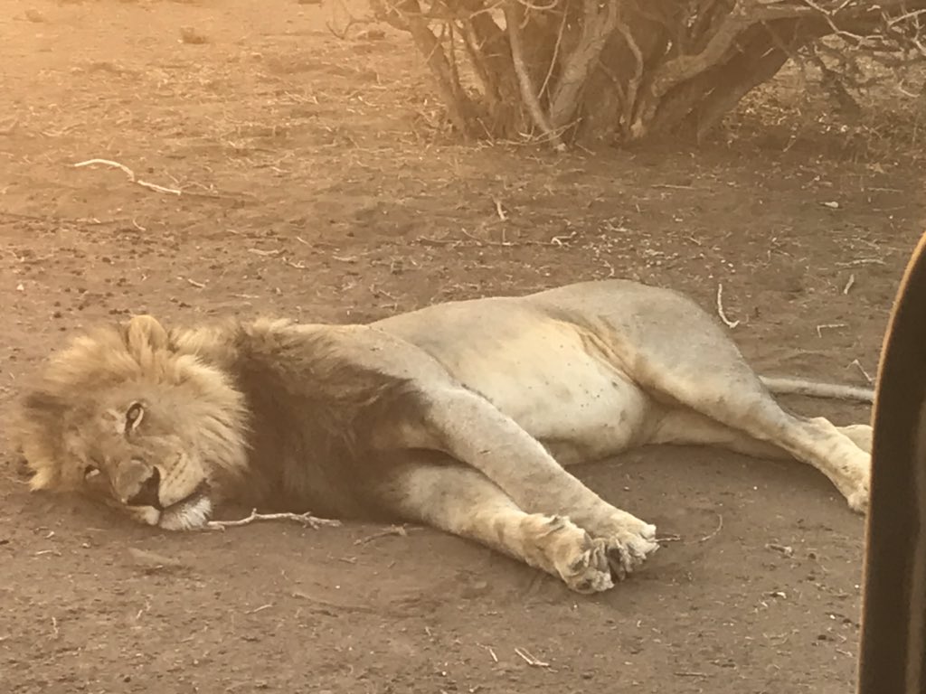 marang setshwaelo tweet media