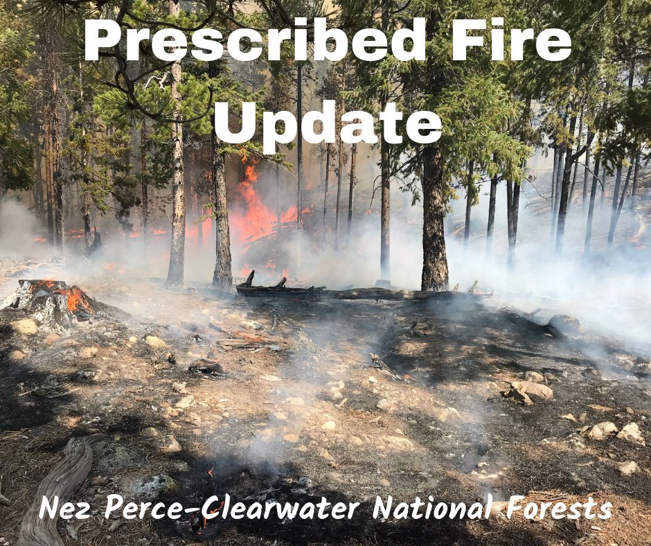 NPClwNFs's tweet photo. Slash pile burning is going on today and tomorrow. All districts but the #PalouseRD are burning today. #RedRiverRD #SalmonRiverRD #MooseCreekRD #LochsaPowellRD #NorthForkRD https://t.co/7KVLoqXl0o