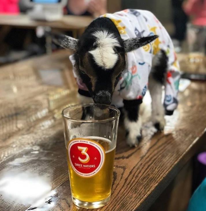 St. Edward's University Alumni (@seualumni) on Twitter photo Join the Dallas/Fort Worth Chapter for Halloween Beer Tasting on Oct. 26! 🍻🎃 <a href="/3NationsBrewing/">3 Nations Brewing</a>, owned by #seualumni Gavin Secchi '05, is moving to a bigger taproom! Join us we visit the new space and support a fellow Hilltopper. ow.ly/w3vE50wB9la Join the Dallas/Fort Worth Chapter for Halloween Beer Tasting on Oct. 26! 🍻🎃 <a href="/3NationsBrewing/">3 Nations Brewing</a>, owned by #seualumni Gavin Secchi '05, is moving to a bigger taproom! Join us we visit the new space and support a fellow Hilltopper. ow.ly/w3vE50wB9la