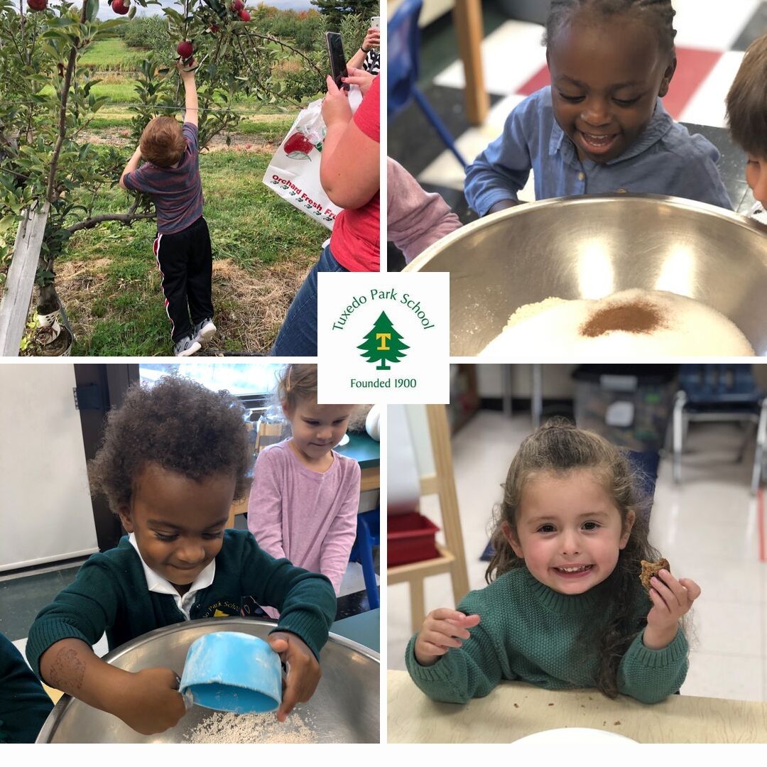 TPS Pre-K students made homemade applesauce, which was then made into bread with fresh, hand-picked, local ingredients! Thanks Apple Dave's Orchard! #HandsOnLearning #FruitfulEndeavors