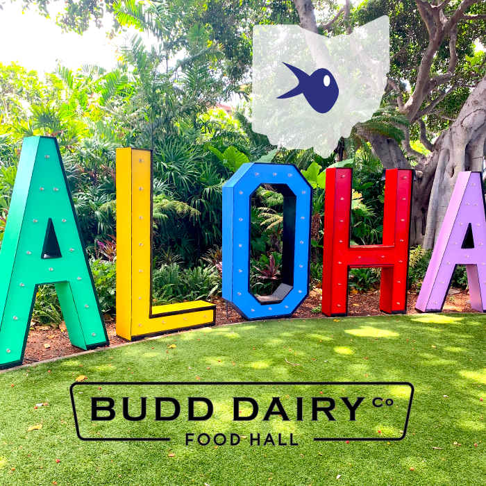 pokebap's tweet photo. Have you heard the big news? We’re bringing our fresh poke bowls to @budddairyfh in 2020! We can’t wait to join the other local chefs in giving you an unforgettable dining experience. https://t.co/22cdCZRhUo