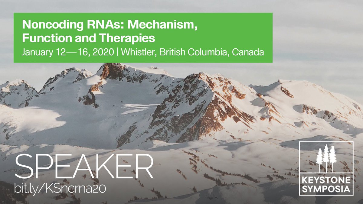 JasonSynaptic's tweet image. Honored by the invitation to speak at @KeystoneSymp meeting &quot;Noncoding RNAs: Mechanism, Function and Therapies.&quot; Join me in #Whistler to explore emerging #noncodingRNA research with global scientific leaders. bit.ly/KSncrna20 #KSncrna
