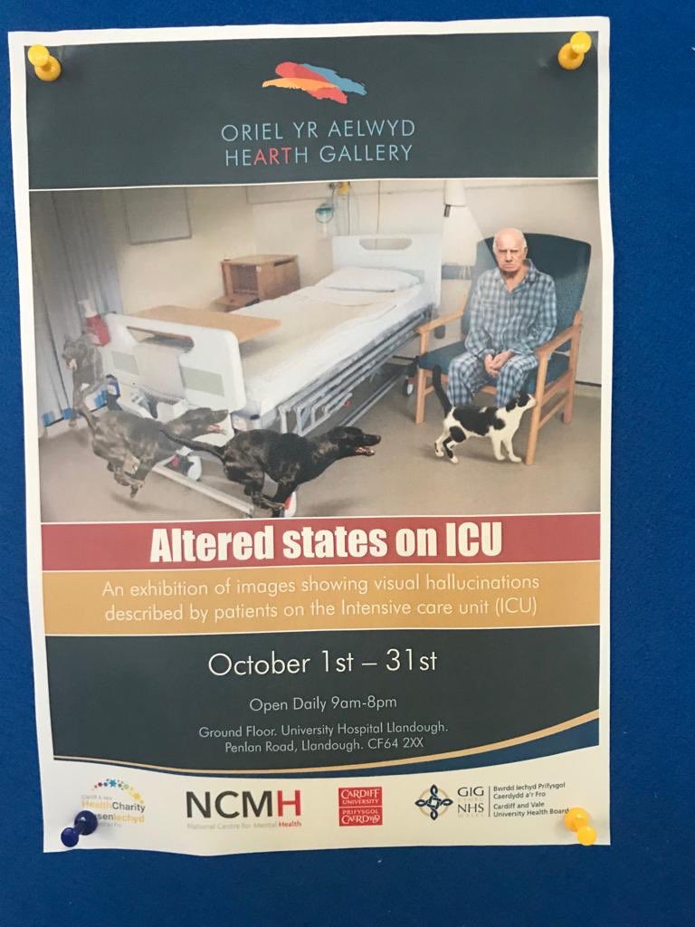 Dr Julie Highfield tweet media