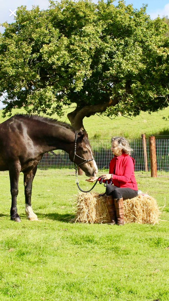 Chilling out at Great Eaves Farm with James