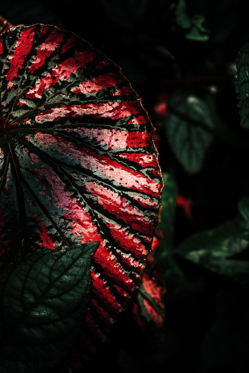 unsplash's tweet photo. Moody 
Feature: Eriks Abzinovs
https://t.co/ti0KZeNxnC https://t.co/QNn2EVU68A