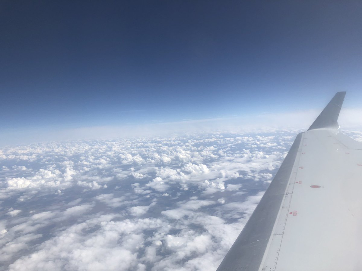 sarah_bargo's tweet image. And I’m off to my first #CASECC Conference for Advancement. ✈️✌🏻