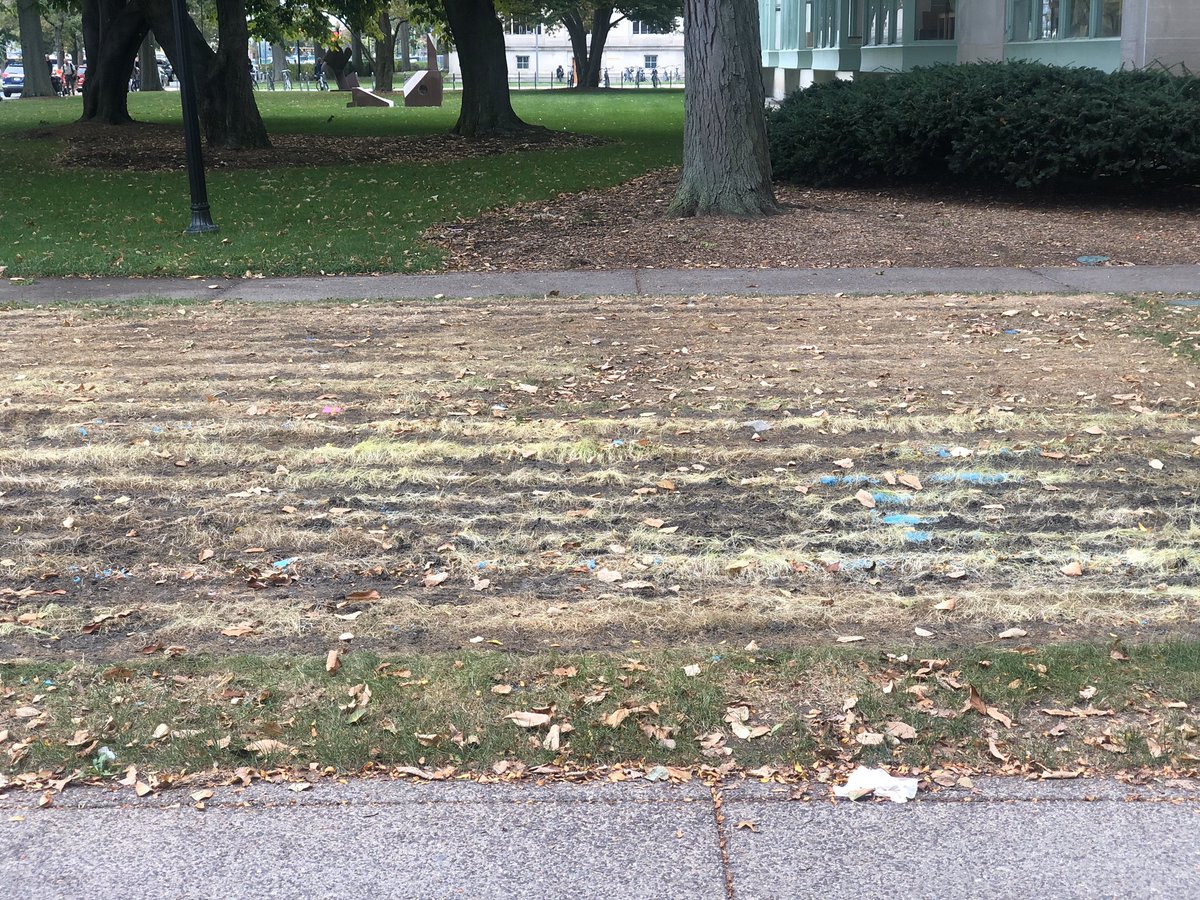 traces of an uninstalled structure: horizontal indentation with blue dyes on the grass. Color is a recollection of physical conditions of an object and its environment: weathers, pressure, and the industrial processes. Color tells the life of an object. #wherearethecolors