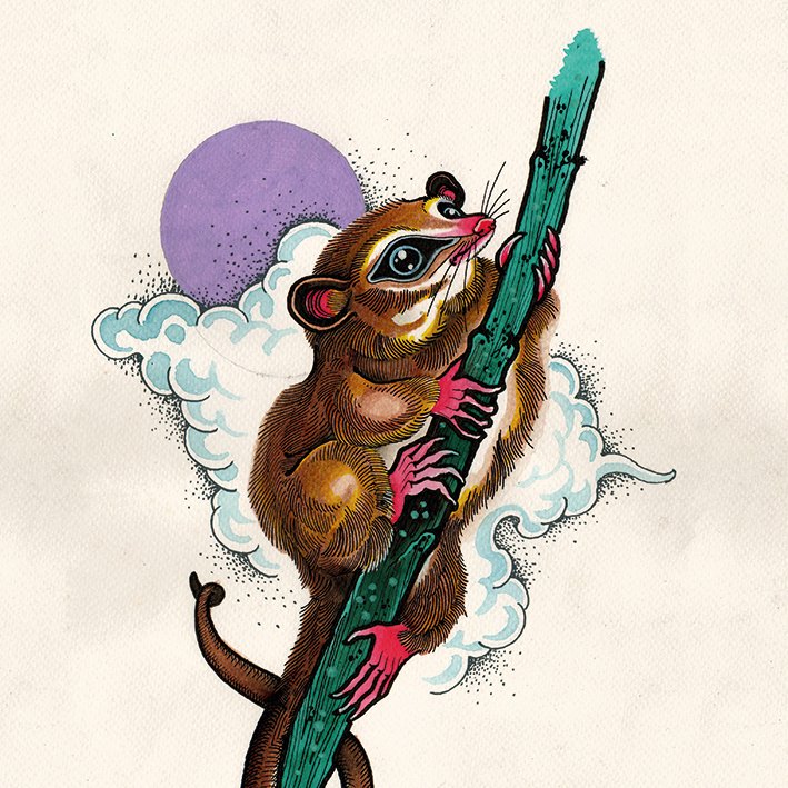 Ayni Lab tweet media