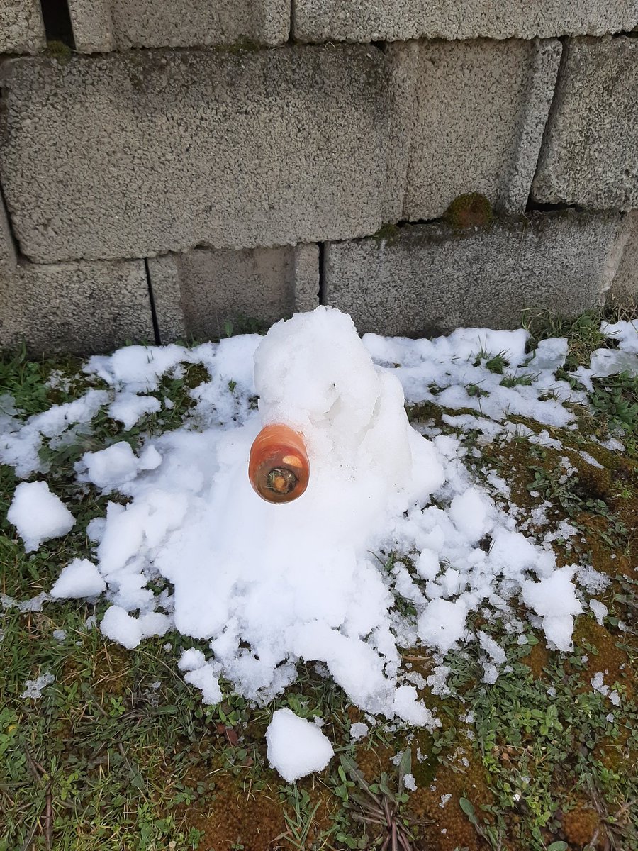 Quería hacer un muñeco de nieve pero ya se había derretido casi toda.