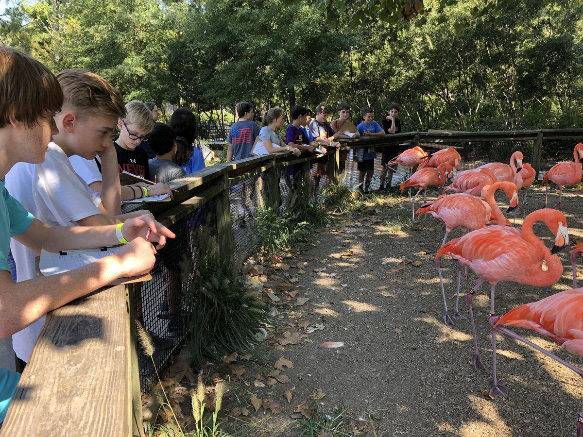jennieborland's tweet photo. @LibertyParkMS 7th-grade Spanish students enjoyed our field trip to the @BirminghamZoo today to learn about and meet animals of Central and South America! We then had an amazing lunch at Sol Azteca! #leadyourlearning https://t.co/lQTbHAM9rE