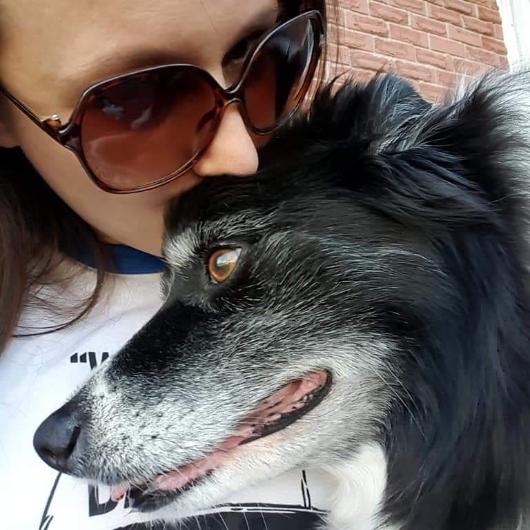 Please share in wishing my beautiful pup a happy birthday 😊 
She's 15 if you can believe it!
#bordercollie #October1st #birthdaygirl