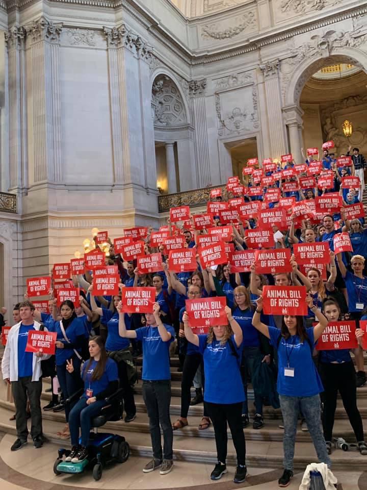 DxEverywhere's tweet photo. Weโre at the San Francisco Board of Supervisors meeting to ask them to pass a resolution in support of the #RightToRescue!
๐น๐๐น #ALCC2019 https://t.co/koeAJ4frDx