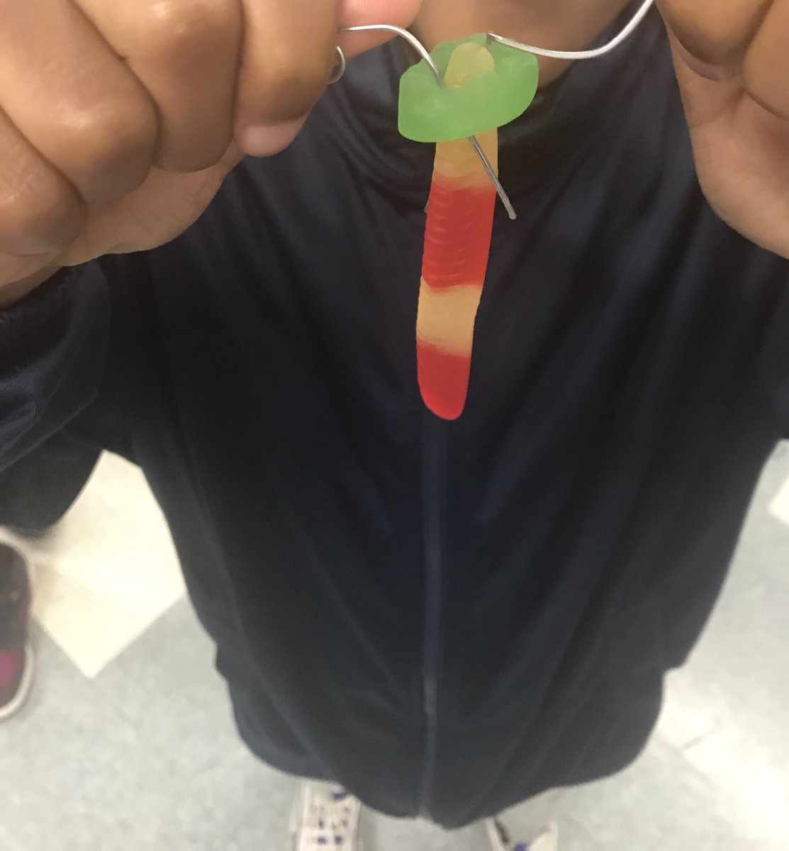 Miss Carroll 🍎 tweet media