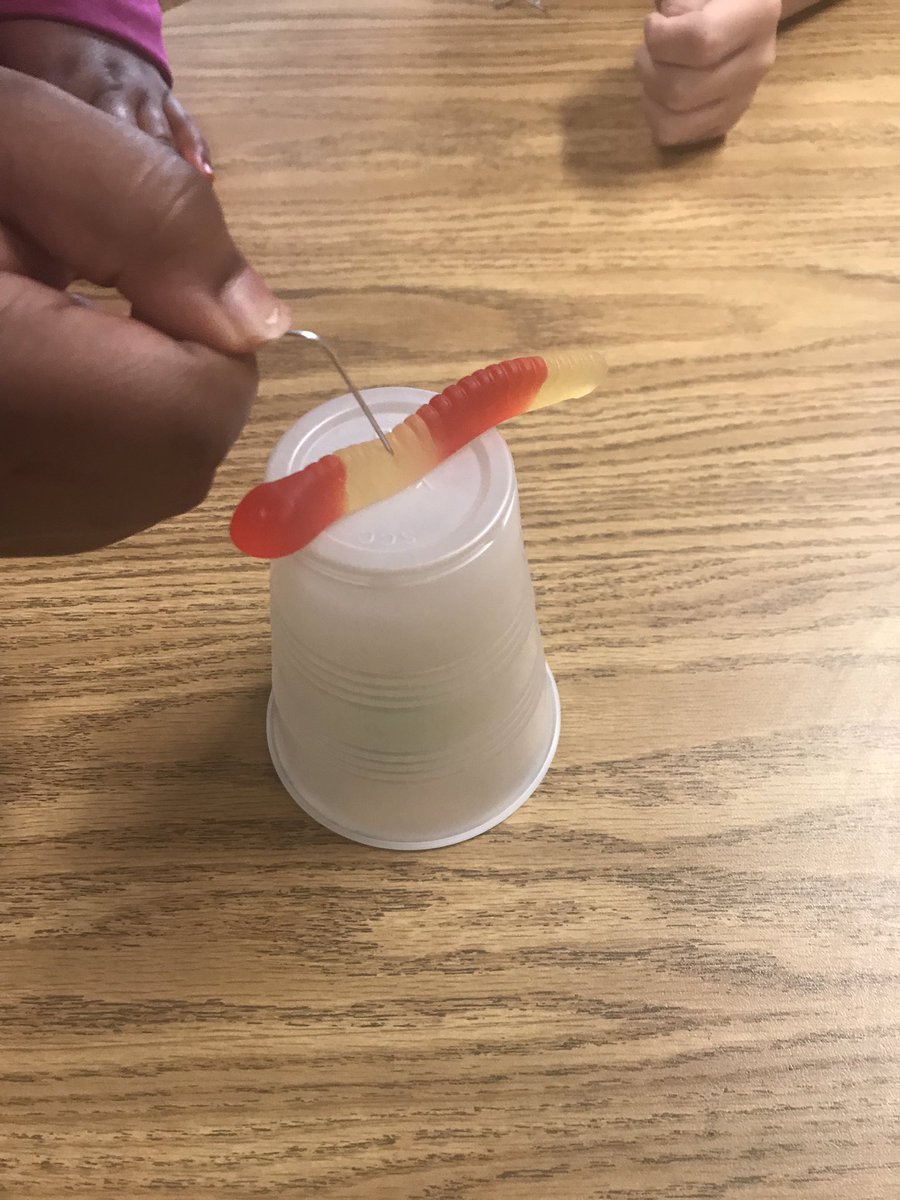 Miss Carroll 🍎 tweet media