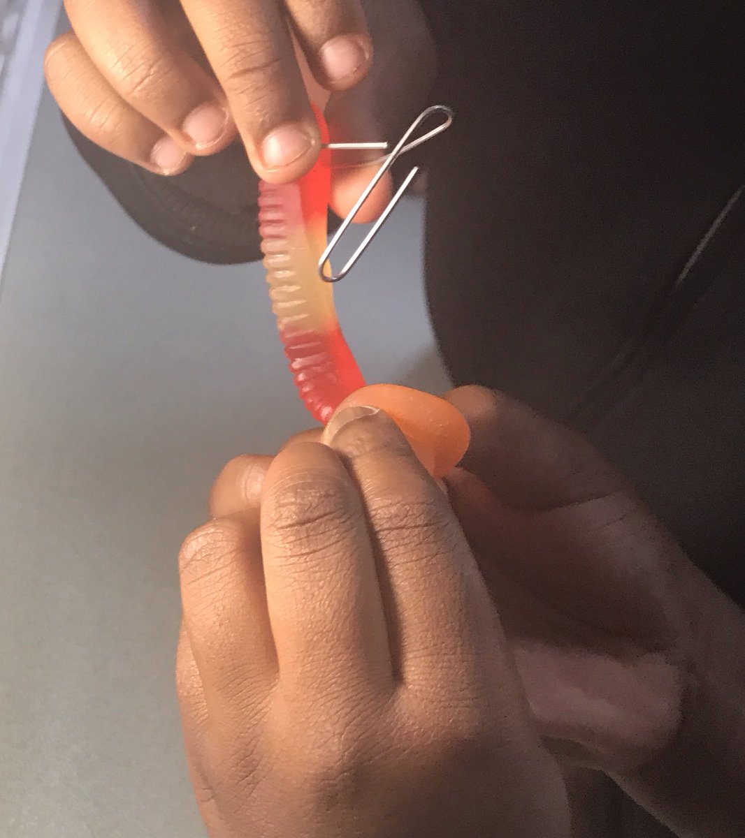 Miss Carroll 🍎 tweet media