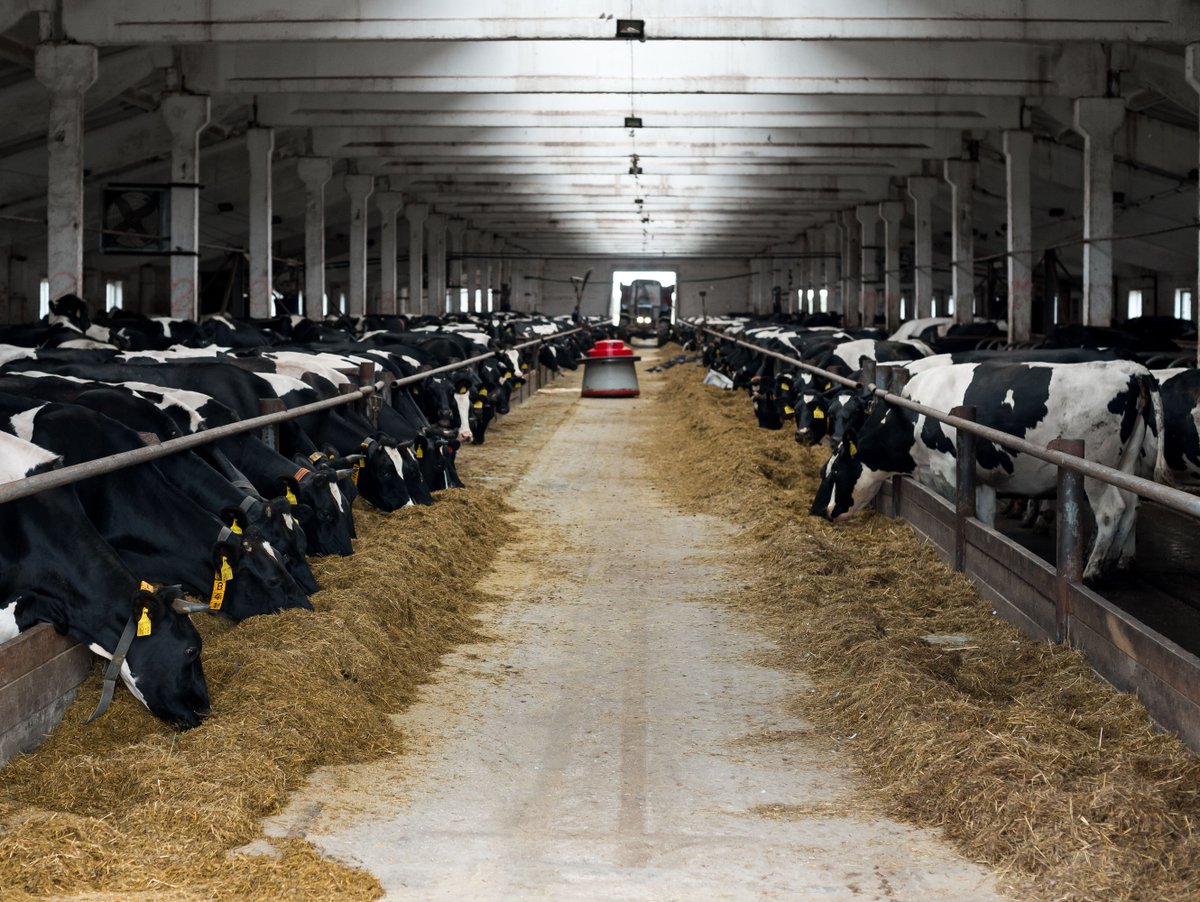 Did you know the #dairyindustry supports nearly 3 million jobs in America and has an economic impact of $628 billion?
(Source: usdec.org)