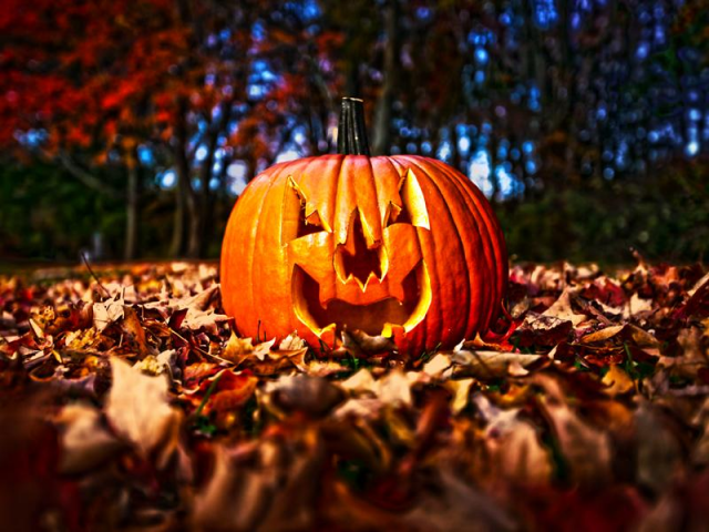 IndiaTaste's tweet photo. The spookiest month of the year is here! Who's ready for some Halloween festivities? https://t.co/kWtWxOVkEM