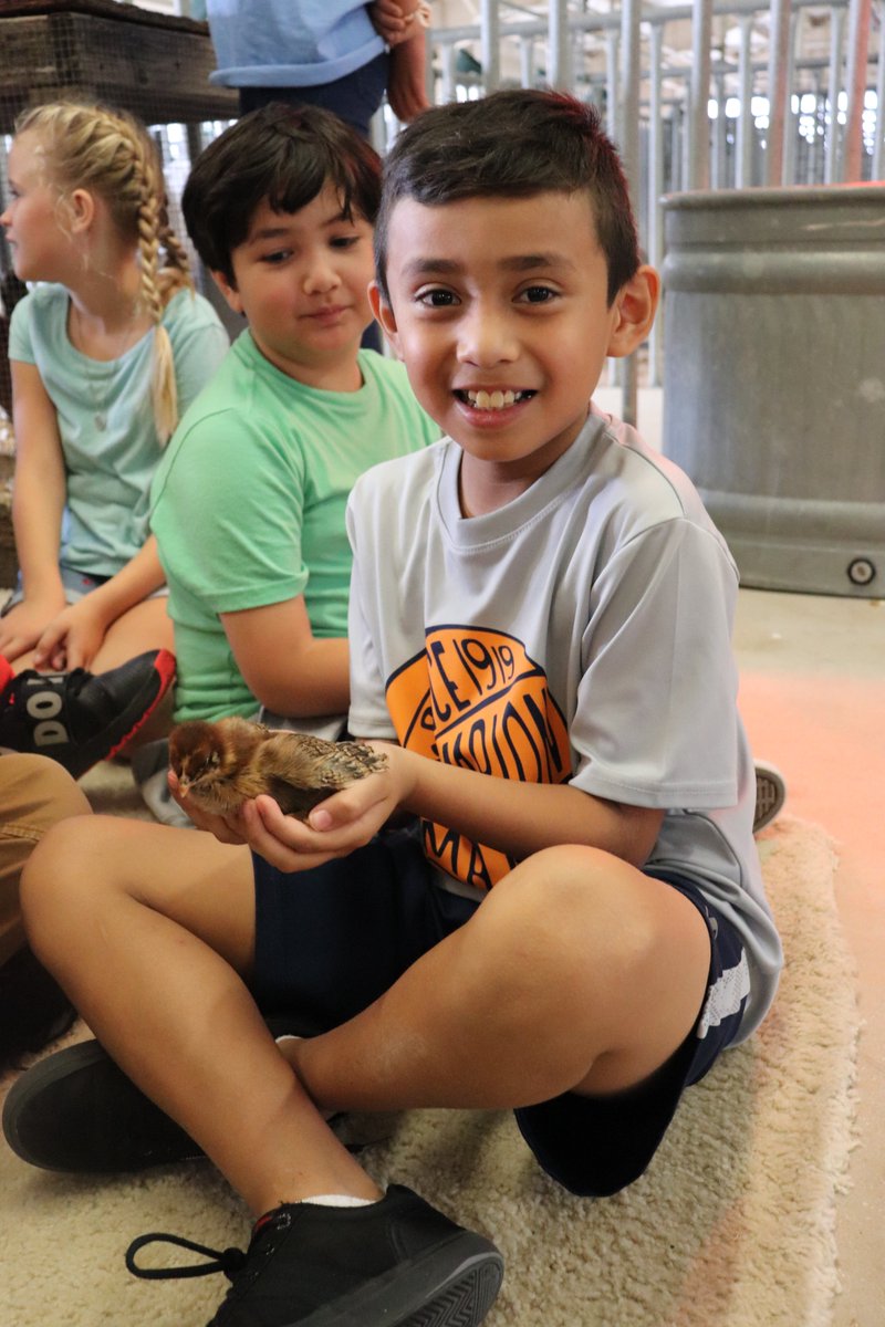 NISD's tweet photo. #NISDLegends- All the baby chick love at Ag in Action! #AgFairNISD 🐥❤️ https://t.co/f2GZRFfpnM