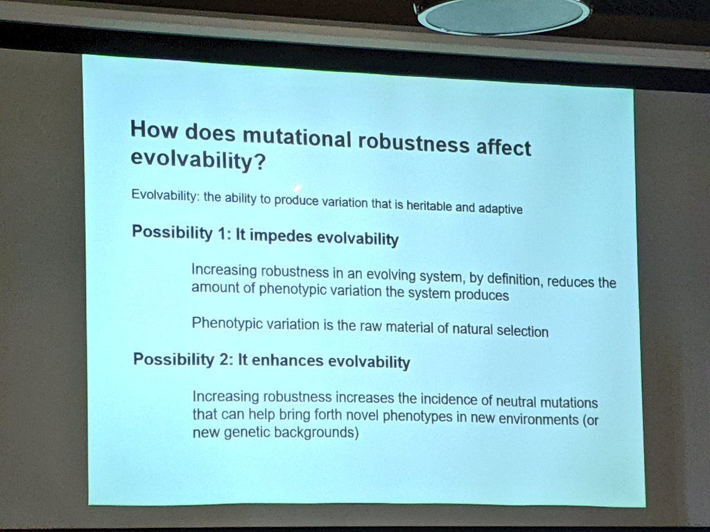 sfiscience's tweet image. What are the effects of selection on #evolvability? Does robustness lead to reservoirs of neutral genetic mutations that prepare an organism to adapt to new environments?

Today at SFI, External Professor @WagnerEvolution of @UZH_en on adaptive landscapes:
santafe.edu/events/evolvab…