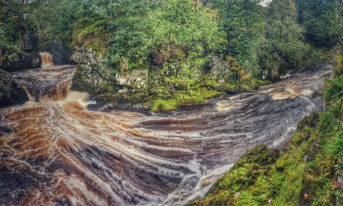 No21York's tweet photo. Got to 💚 the Yorkshire Dale's for their rugged beauty & spectacular scenery.
#IngletonWaterfallTrail #WelcomeToYorkshire #VisitYork #YorkshireDales #ThorntonForce #RiverTwiss #RiverDoe https://t.co/qlRtddGi72