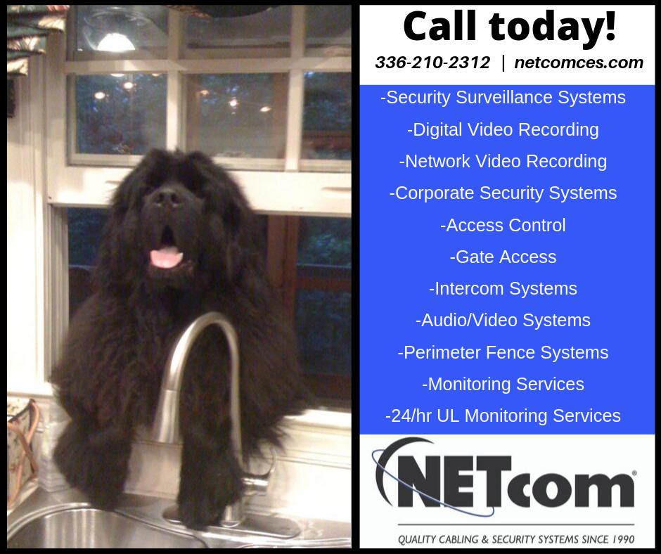 NETcom Cabling and Security, Inc. tweet media