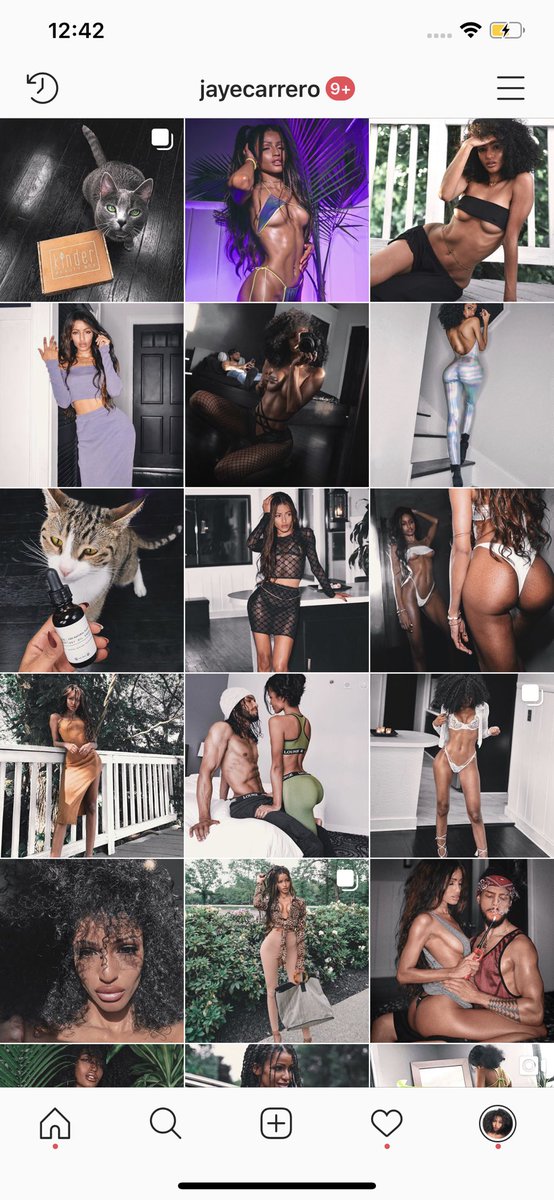 JayeCarrero's tweet photo. MY INSTAGRAM WAS HACKED AT 10:30AM TODAY - the hacker was actively emailing me threats within the hour. 

Account: JayeCarrero 

I run a business, promote my foster cats and active brand contracts. 

PLEASE RT SO @instagram @facebook NOTICE! 

THEY HAVENT RESPONDED AT ALL https://t.co/lXT7rrDuW8