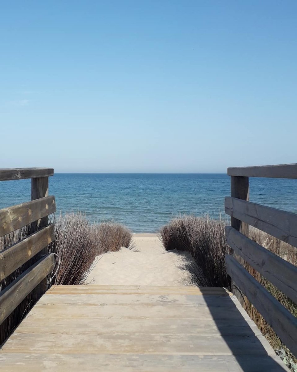 MRElectrique's tweet image. Dimarts de #marjalisme 💛🌾i de #Mareny 💙🌊