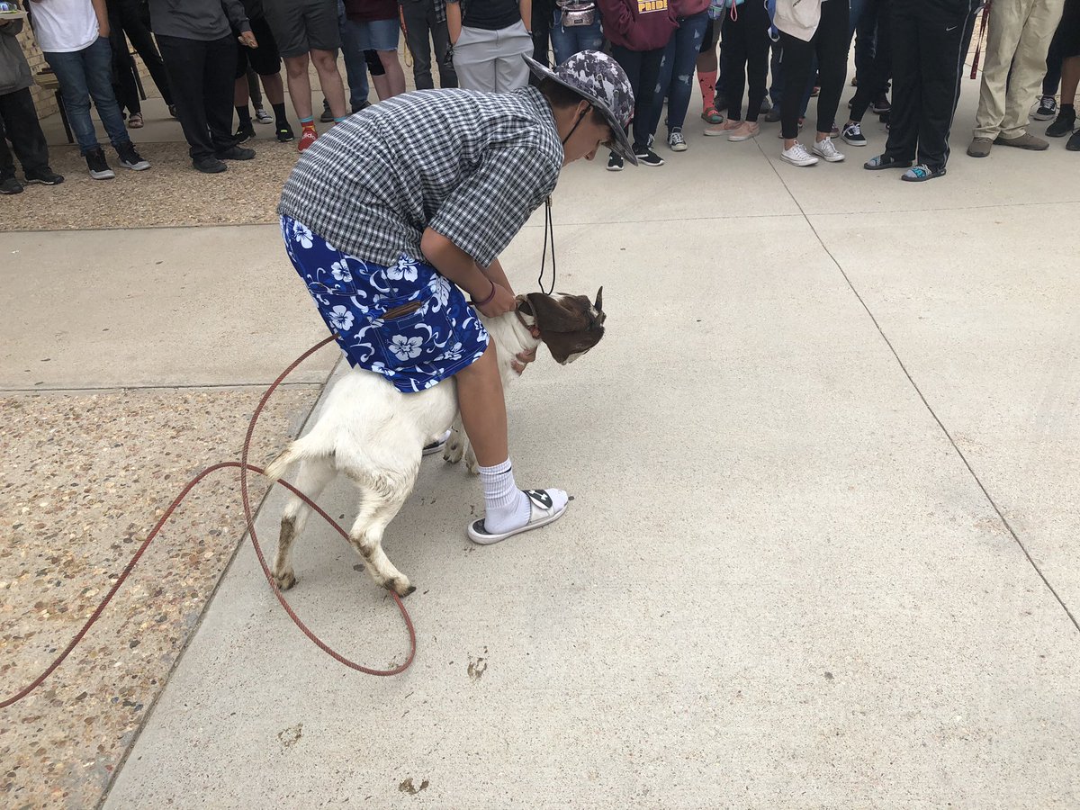 BeetdiggersAD's tweet photo. Kiss the Goat Fundraiser Winner Coach Wilson! #thisisbrush https://t.co/PBaZsrHipo
