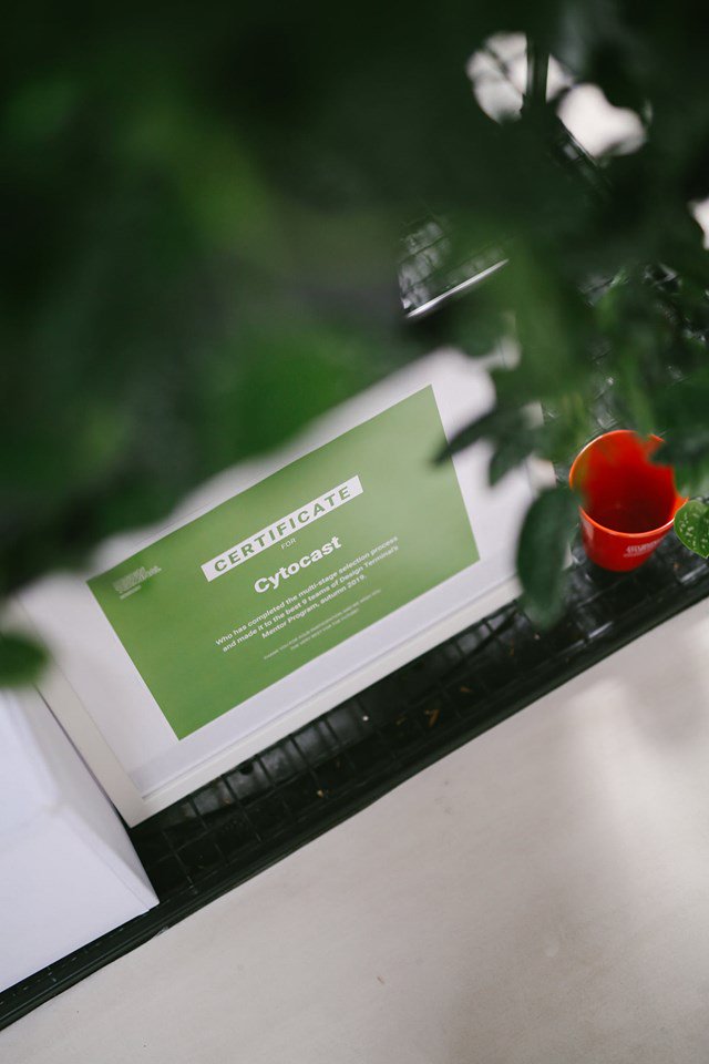 We made it through the selection process of Design Terminal​ to join 8 other teams for 3 months of strategic mentoring. <a href="/DesignTerminal/">Design Terminal Limited</a>, #entrepreneurship, #Cytocast