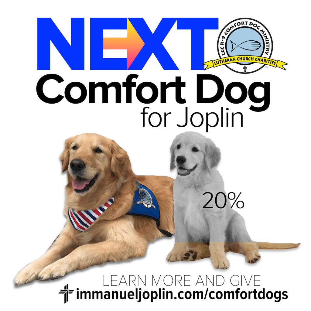 immanueljoplin's tweet photo. Plans For Joplin's Next Comfort Dog. Louie Comfort Dog needs your help. GIVE NOW to the "Next Comfort Dog for Joplin" Campaign. https://t.co/S0JYYxiLrB https://t.co/aws75MNxkf