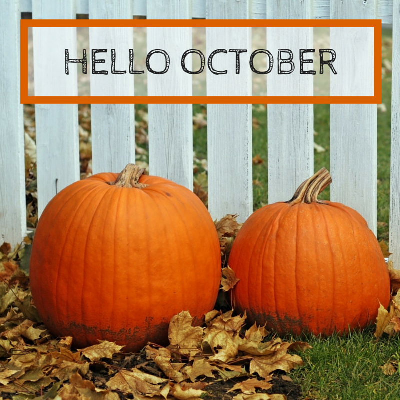 Wishing a #Happy #October to all of our Steadfast Followers! 🎃