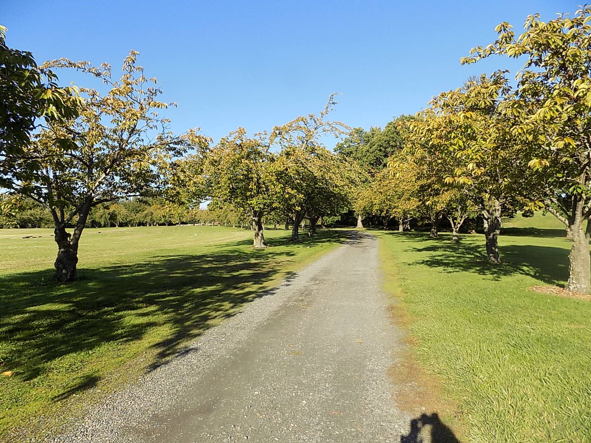 imtheotherkarly's tweet image. October 1st walk in the park.

#prettyday