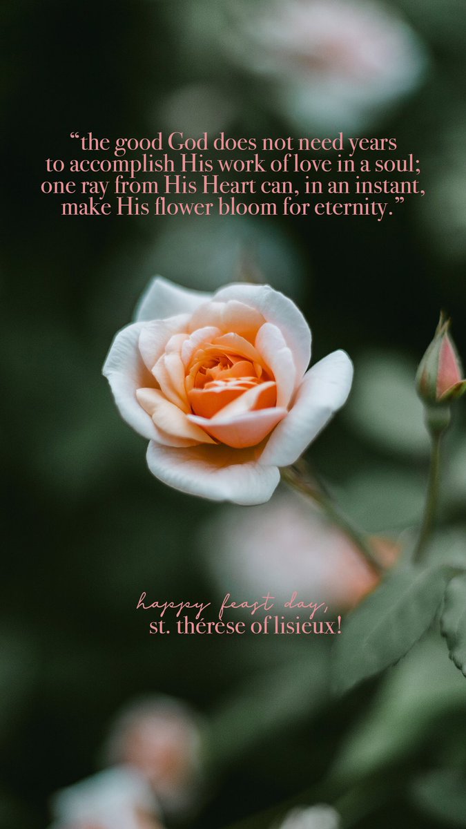 cfcyusa's tweet photo. 🌹 St. Thérèse of Lisieux, pray for us! 🌹 https://t.co/3BJ6NDZCol