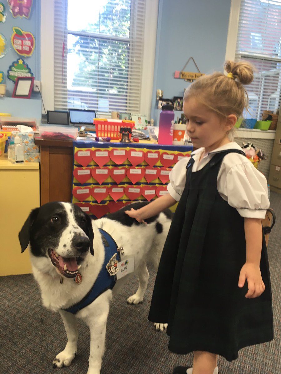 AcademyPreK's tweet photo. Thank you to the @APAofMO from coming today to teach us about animal safety. We loved meeting Jake! What a fun A week! @ash1818 https://t.co/l5c0Fxvp5K