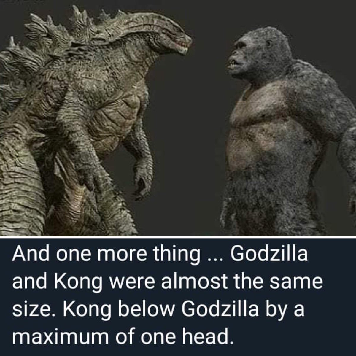 MaxStokeld's tweet image. 