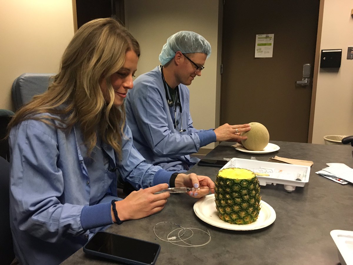 Fruit for epidural simulation. 9 out of 10 anesthesiologists prefer cantaloupe. #educationinanesthesia #umkcanesthesia