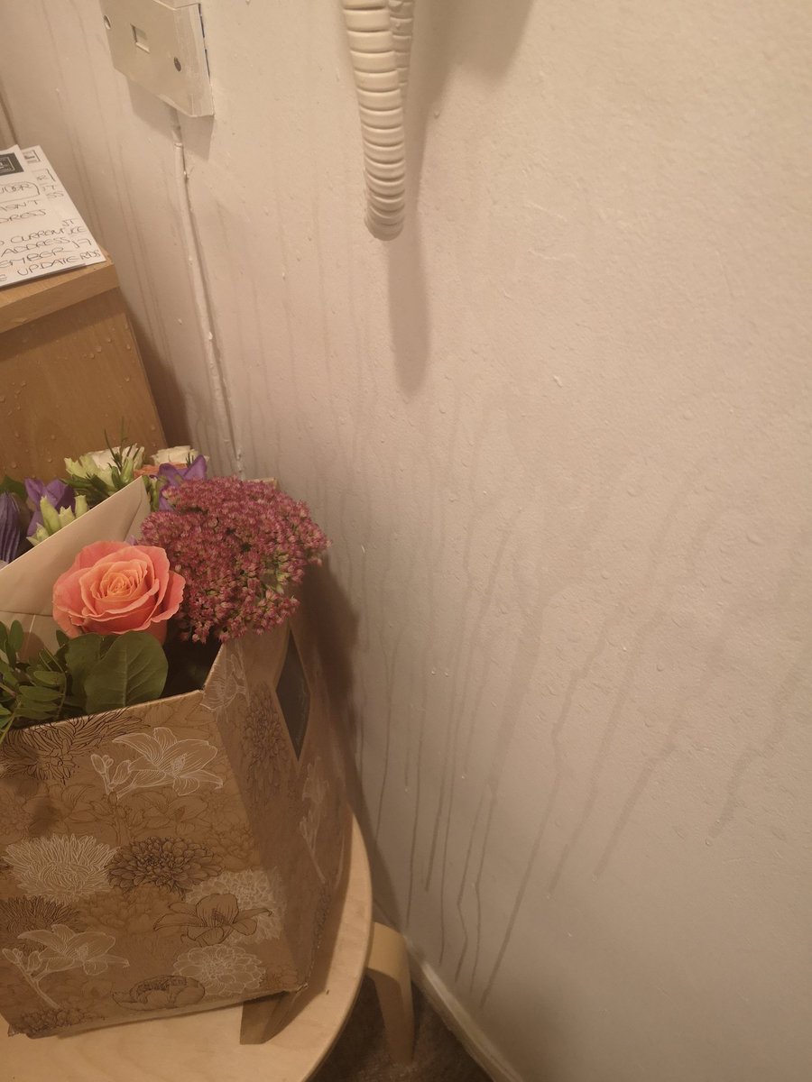 anacav's tweet photo. How to spoil what was meant as a nice surprise, @InterfloraUK? Put a very heavy vase full of water inside of a thin cardboard box with a bottom that's completely soaked. Leave by the door of the "victim". As soon as they lift the box, the vase will fall and competely mess up! Thx https://t.co/jopGy1fFiA