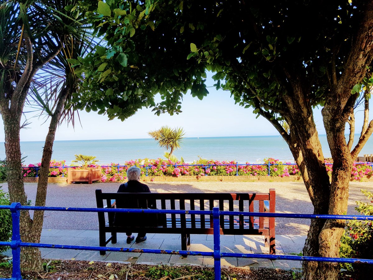 SchmoogyBoo's tweet photo. "There are times I wonder why I bother
With this world
But there is a weight ...."
For anyone who's had a tough day, I hope these cheer you up. A small selection from my photos of #Eastbourne, June this year. In the last 📷, you can see the #SovereignLight #LoveWins #TomChaplin https://t.co/BosXObLCYY