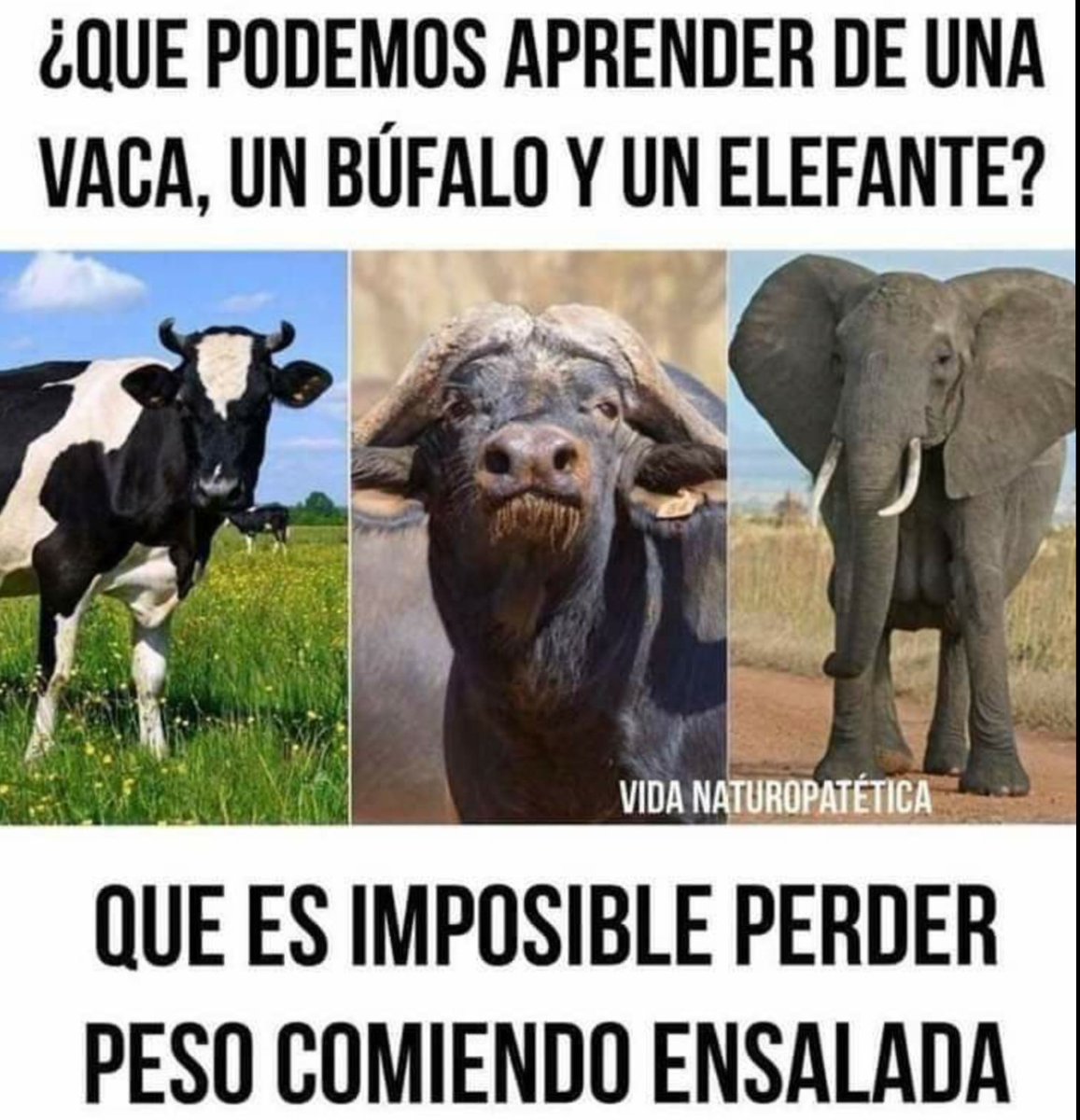 Código: YoSoyRick 💪 tweet media