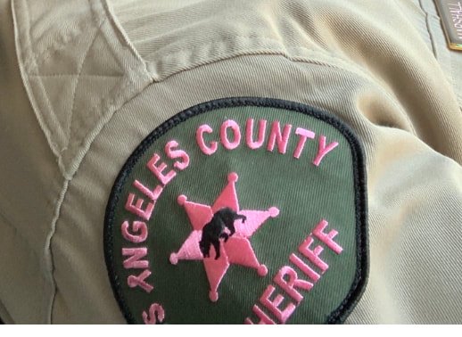 LACoSheriff_33's tweet image. Today marks the start of #breastcancerawarenessmonth! Reminder that #LASD deputies can wear the #PinkPatch on their uniforms. Get your pink patch today bit.ly/2ohbOnl! Proceeds from patches will be given to City of Hope to aid in the fight against breast cancer #SheriffV