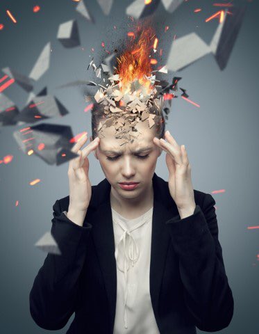 STARTUP MIND REBOOTED tweet media