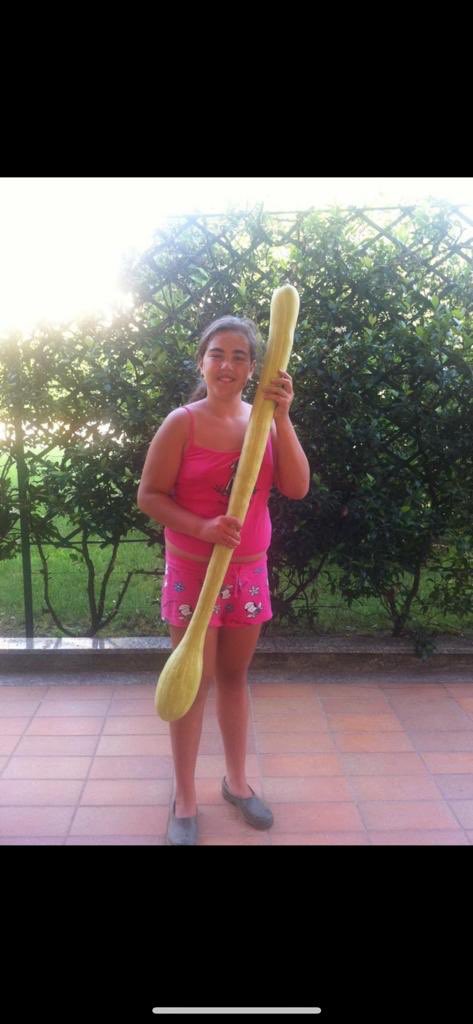 What’s longer - the circumference of a circle or this courgette? #morganarmsquiz