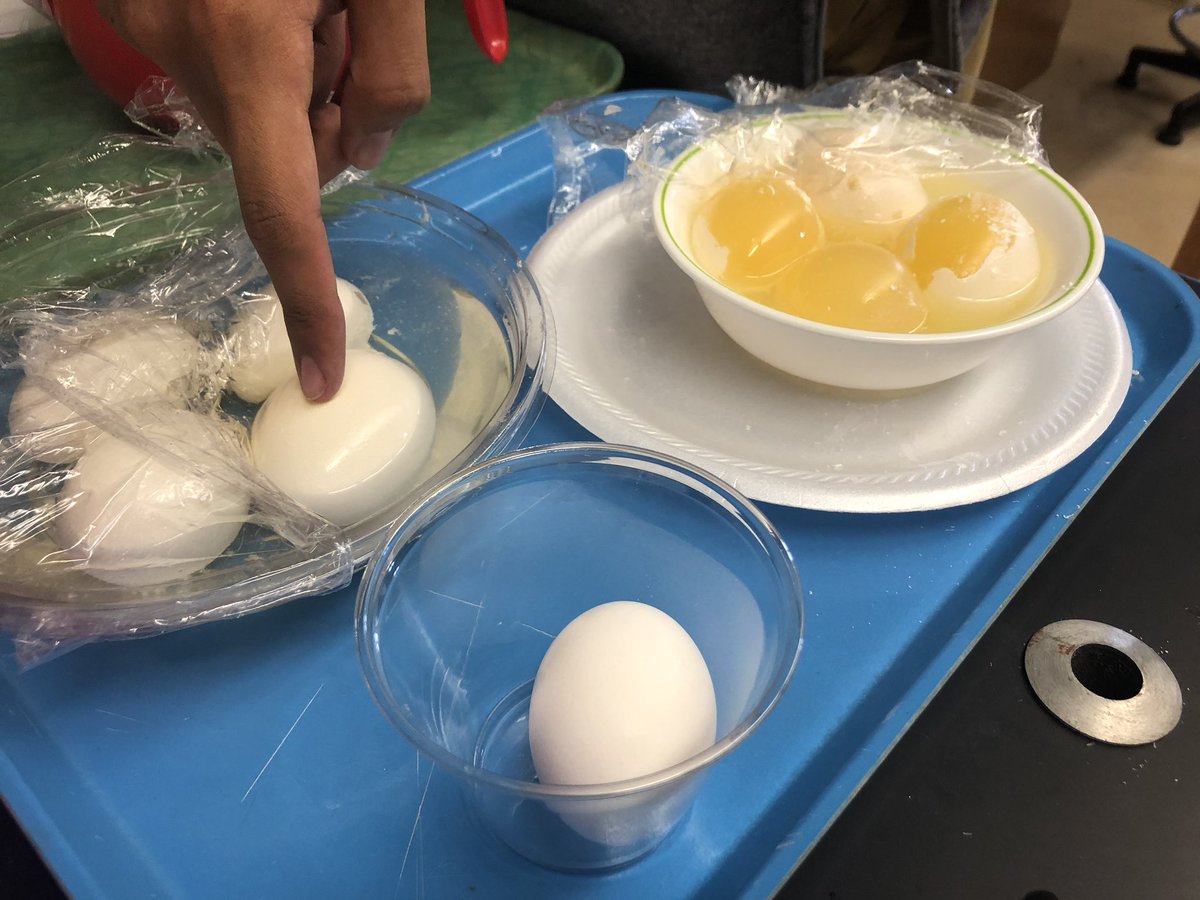 Becca Krueger tweet media