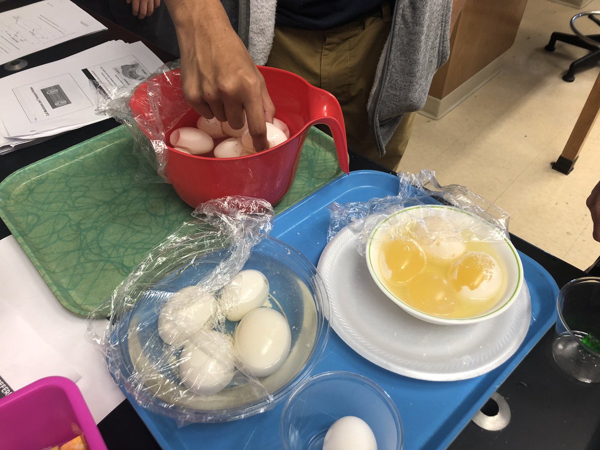 Becca Krueger tweet media