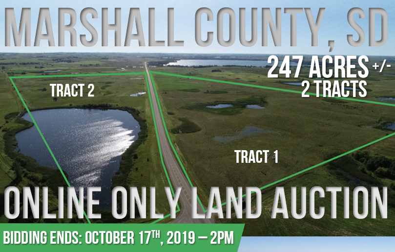 AgVisors's tweet photo. Marshall County ONLINE ONLY Land Auction
247+/- Acres offered in two tracts to the highest bidder. . You can view and bid on this property by visiting https://t.co/10kIL5apxa. Bidding ends OCTOBER 17th at 2PM.
Auctioneer Jordan Holland 605-809-5552 https://t.co/3nzQKwVp8q