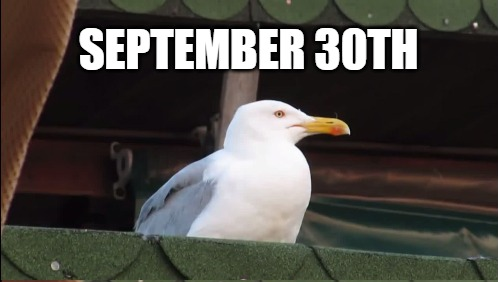 sonicsong182's tweet photo. Well... almost! 😅Happy October everyone! #Halloweek #Spooktober #LetTheFestivitiesBegin #ThisIsHalloween #AlmostLOL #SonicSong182 #SS182 https://t.co/RwsLjqBr0Y