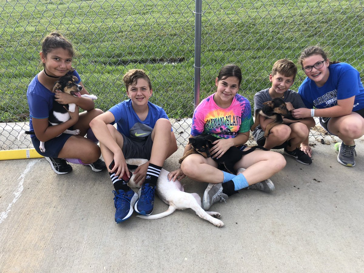 TeamSchloss's tweet photo. XC kids ran to the animal shelter today to clean &amp; play 💙 lots of helping hands while also being rewarded with puppy and kitten time! https://t.co/VW0eM6zN3t